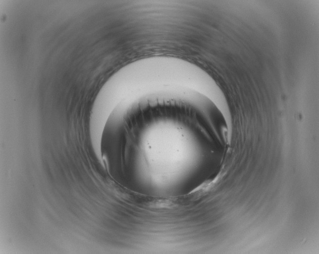 X0000070430086200607080010