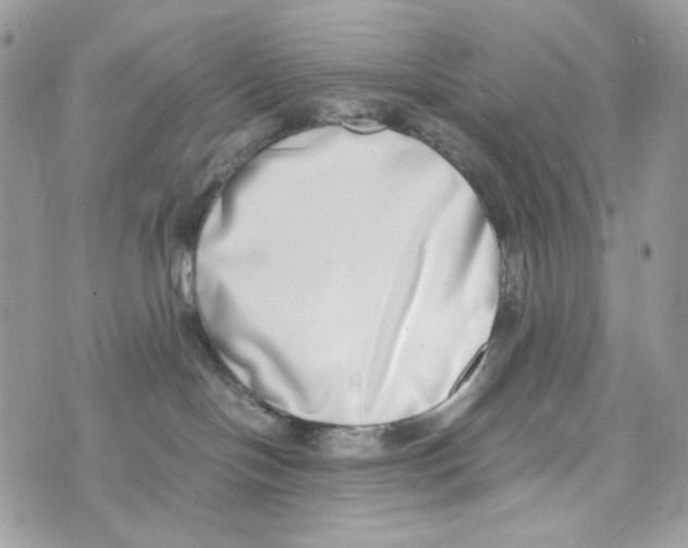 X0000070430094200607080010