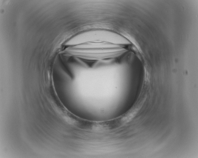 X0000070430109200607080009