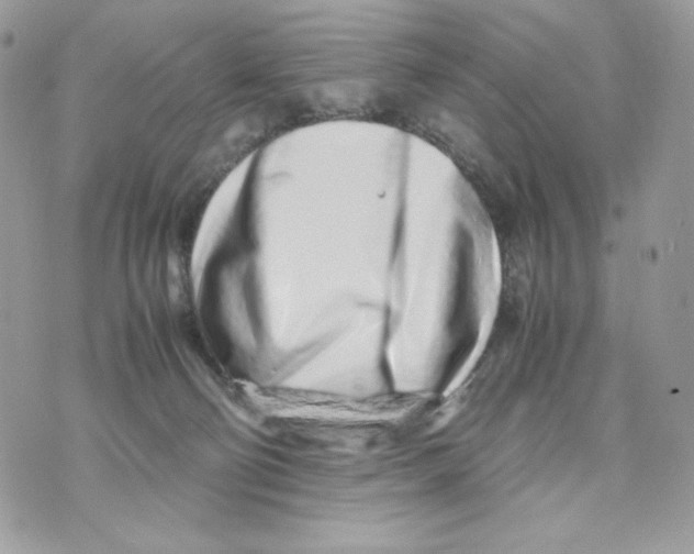 X0000070430130200607080009