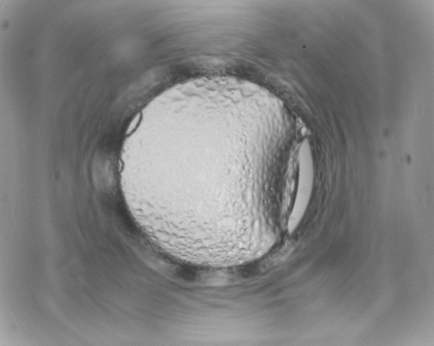 X0000070430131200607080009