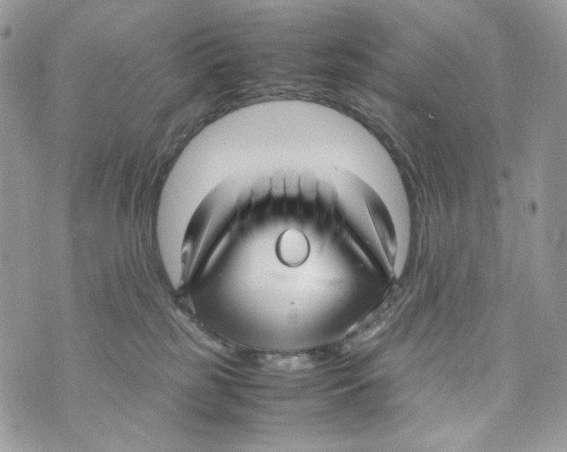 X0000070430185200607080008