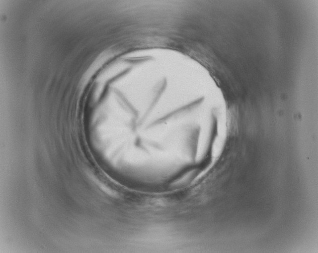 X0000070430195200607080008