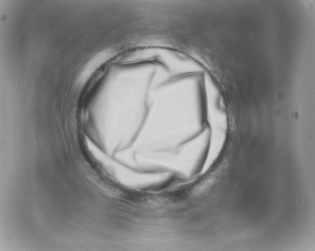X0000070430199200607080008