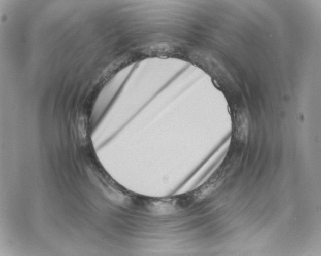X0000070430232200607080007