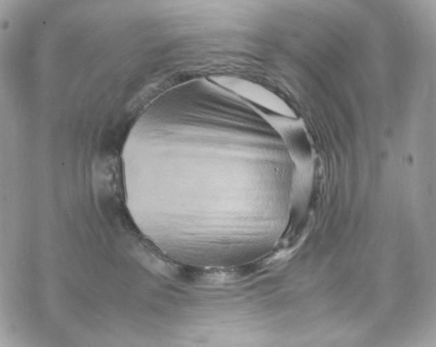 X0000070430237200607080007