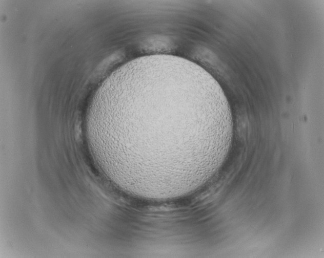 X0000070430259200607080006