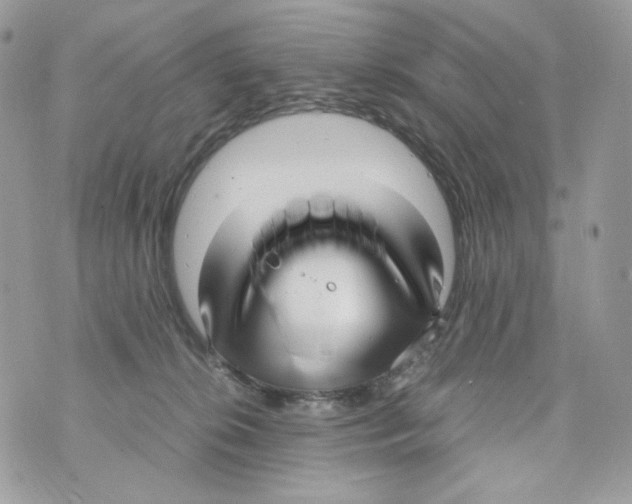 X0000070430276200607080007