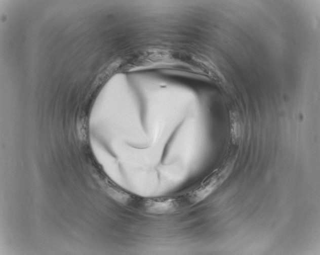 X0000070430285200607080007