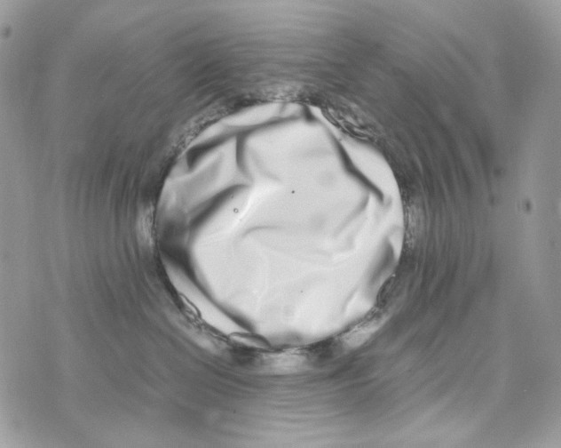 X0000070430286200607080007