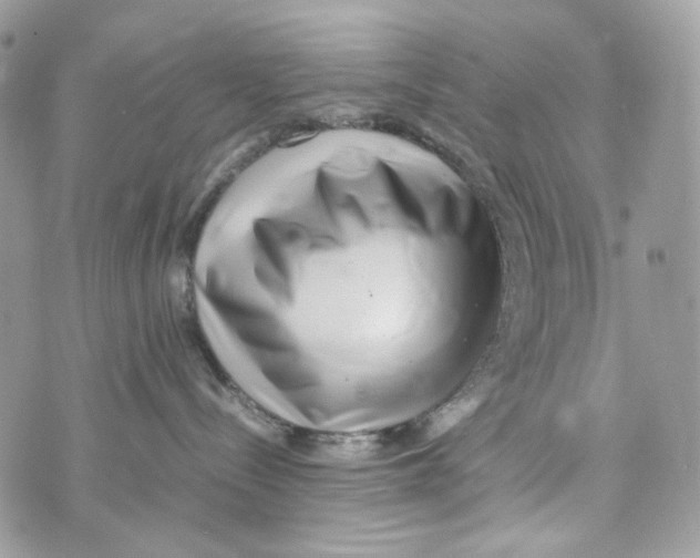 X0000070430288200607080007