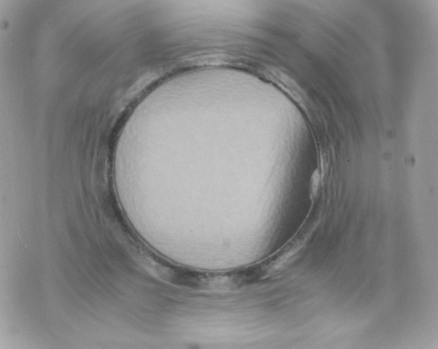 X0000070430301200607080006
