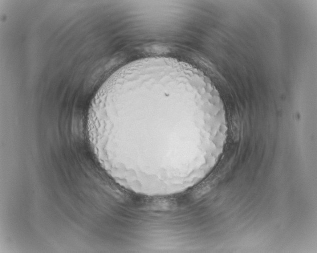 X0000070430330200607080005