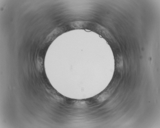 X0000070430332200607080005