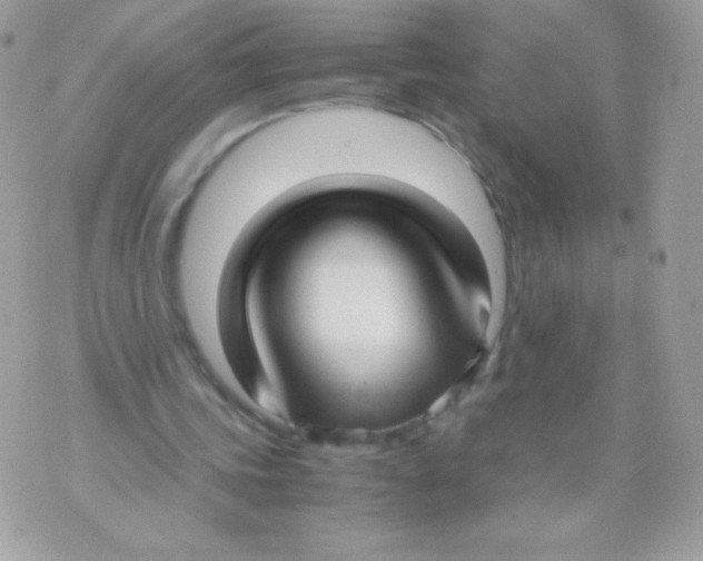 X0000070430339200607080005