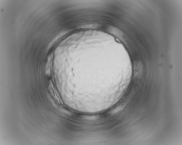 X0000070430349200607080005