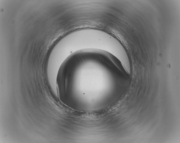 X0000070430354200607080005