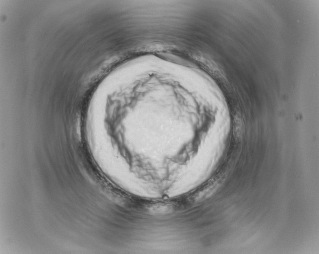 X0000070430358200607080005
