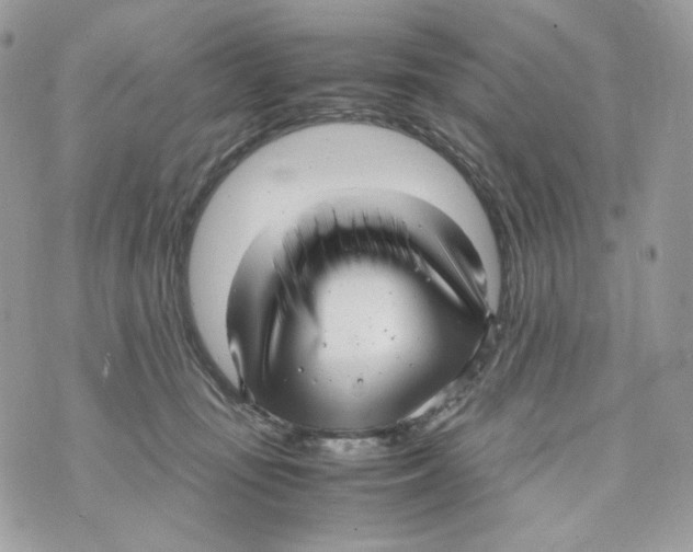 X0000070430371200607080005
