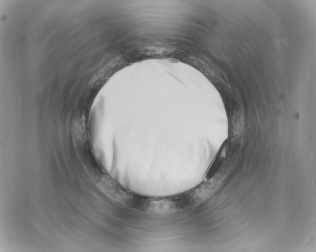 X0000070430376200607080005