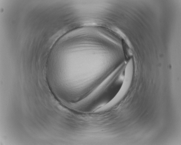 X0000070430385200607080005