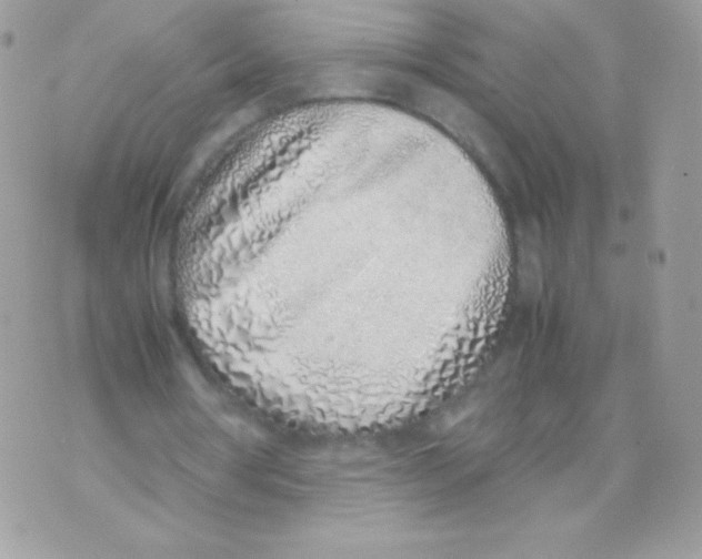 X0000070430386200607080005