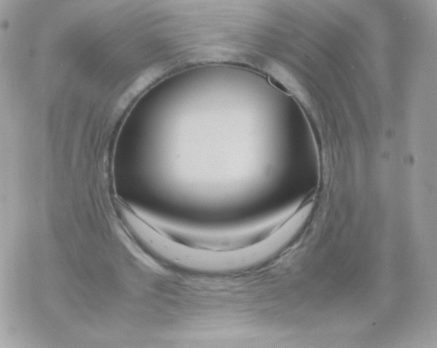 X0000070430389200607080005