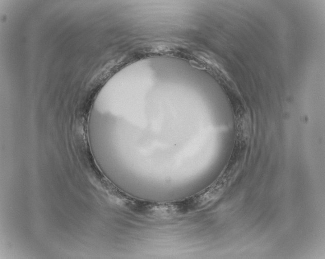 X0000070430415200607080004