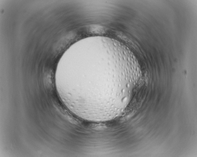 X0000070430424200607080004