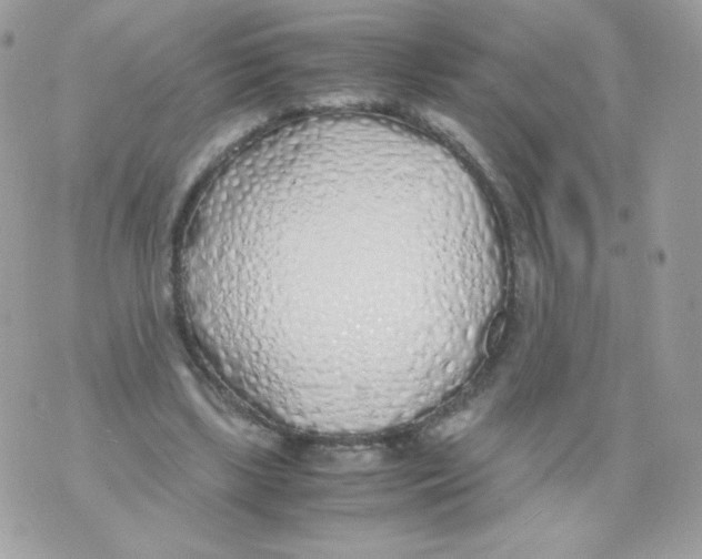 X0000070430443200607080003