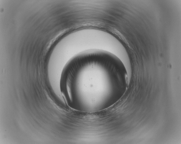 X0000070430444200607080003