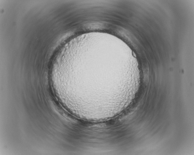 X0000070430447200607080003