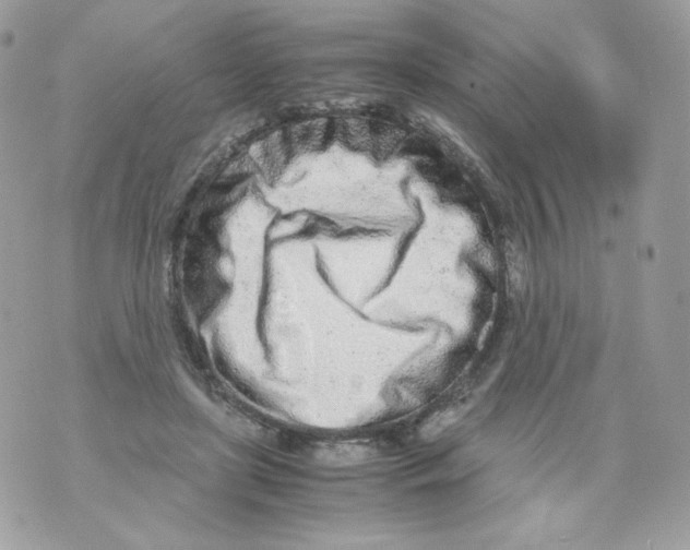 X0000070430451200607080003