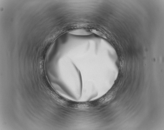 X0000070430462200607080003