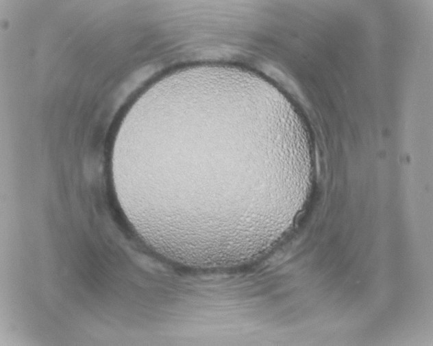 X0000070430483200607080003