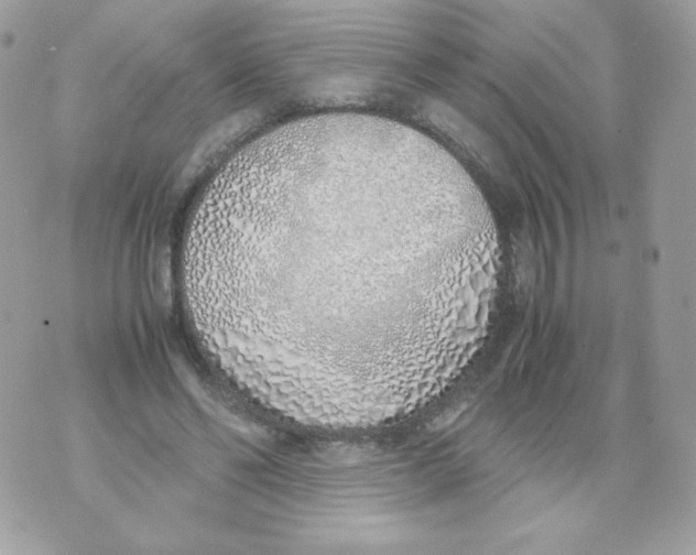 X0000070430494200607080003