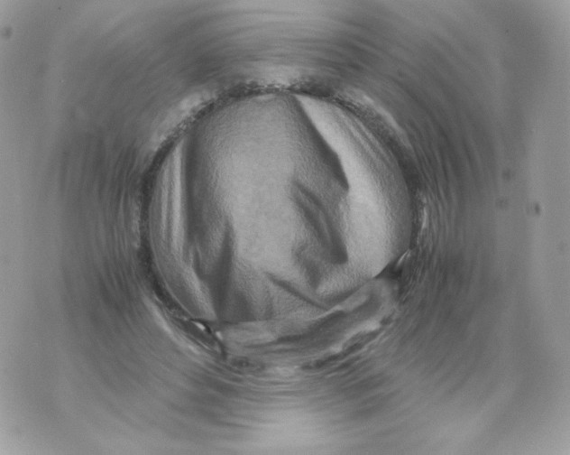 X0000070430496200607080003