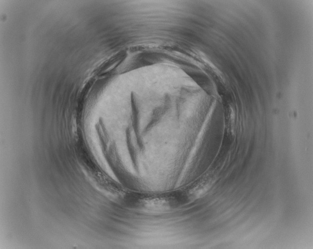 X0000070430500200607080003