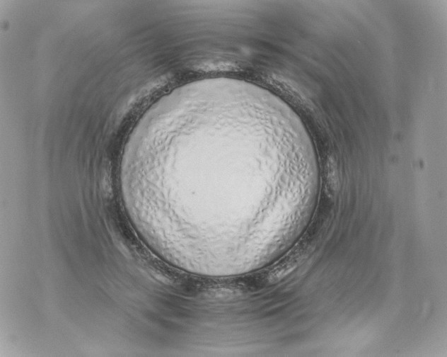 X0000070430547200607080002