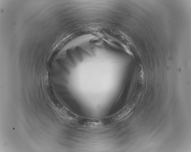 X0000070430552200607080002