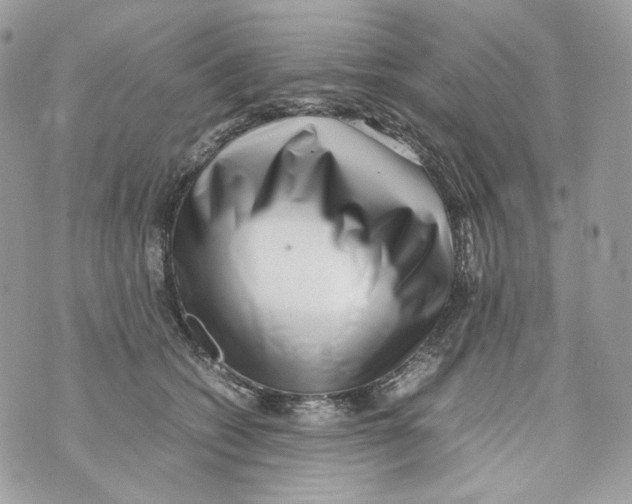 X0000070430562200607080002
