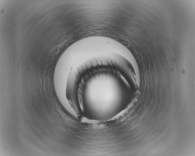 X0000070430570200607080002