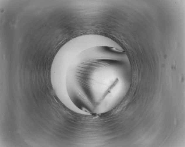 X0000070430576200607080002