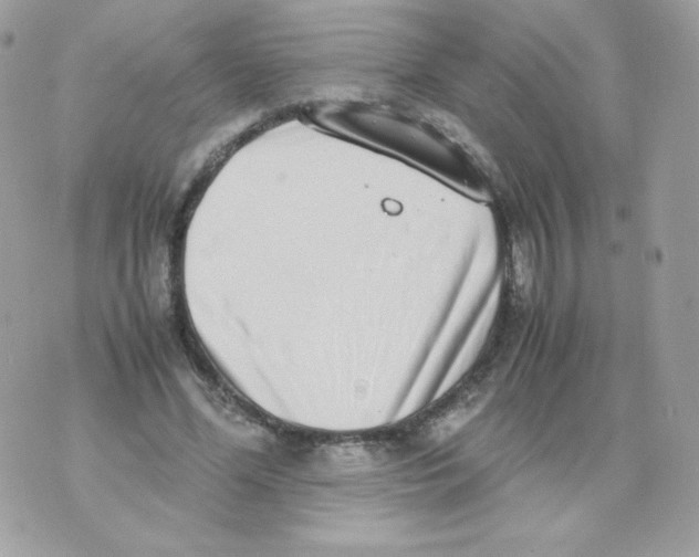 X0000070430588200607080001