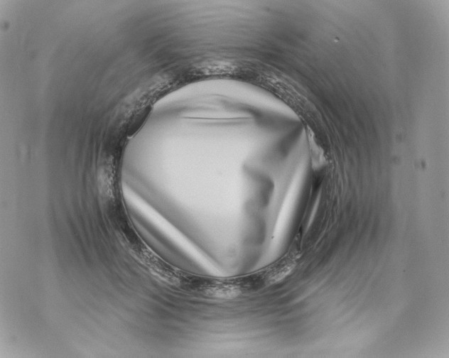 X0000070430604200607080001
