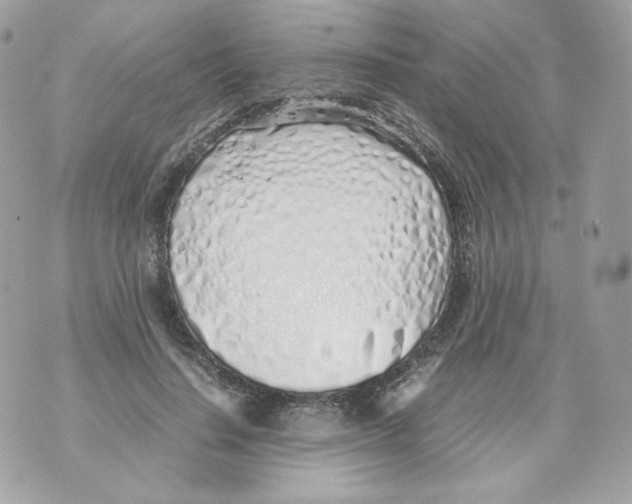 X0000070430644200607080000