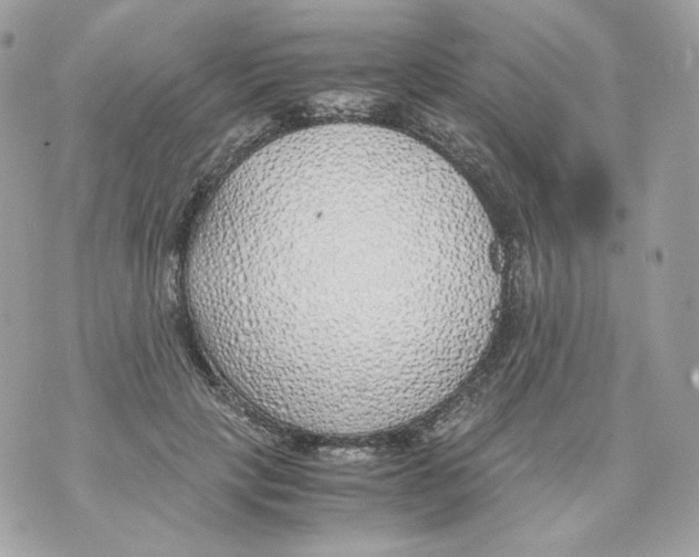 X0000070430649200607080000
