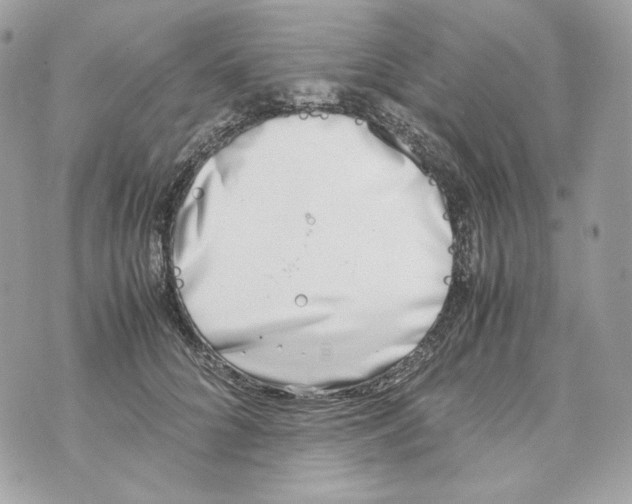 X0000070430704200607072359