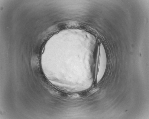 X0000070430715200607072359