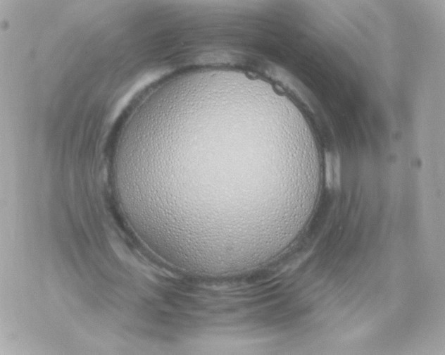 X0000070430723200607072358